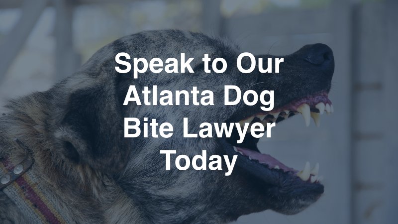 Atlanta Dog Bite Lawyer